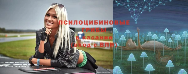 крисы Белоозёрский