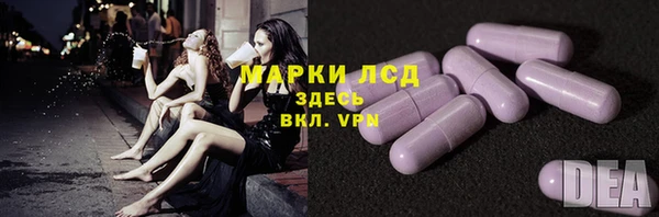 PSILOCYBIN Белокуриха