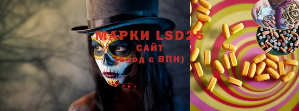 PSILOCYBIN Белокуриха