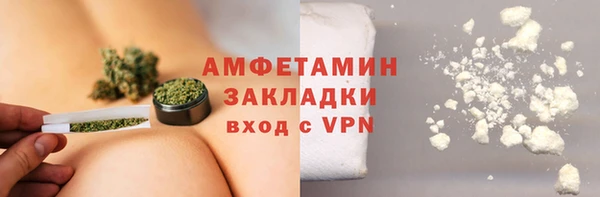 PSILOCYBIN Белокуриха