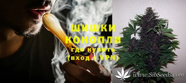 PSILOCYBIN Белокуриха