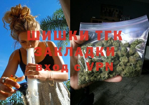 PSILOCYBIN Белокуриха