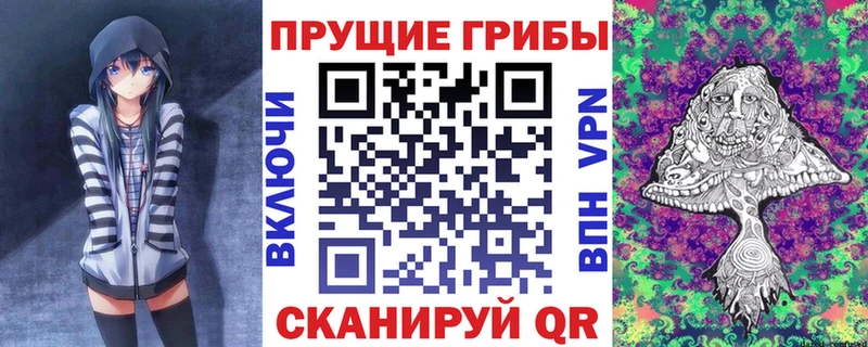закладки  Володарск  дарк нет как зайти  Галлюциногенные грибы Magic Shrooms 